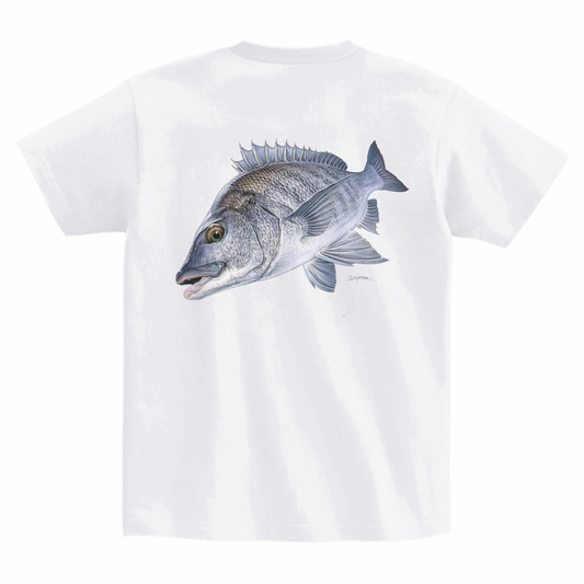 Tシャツ【クロダイ】バックプリント(ホワイト)