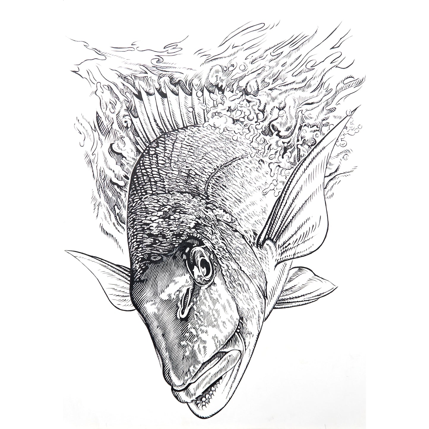 「真ダイ」原画