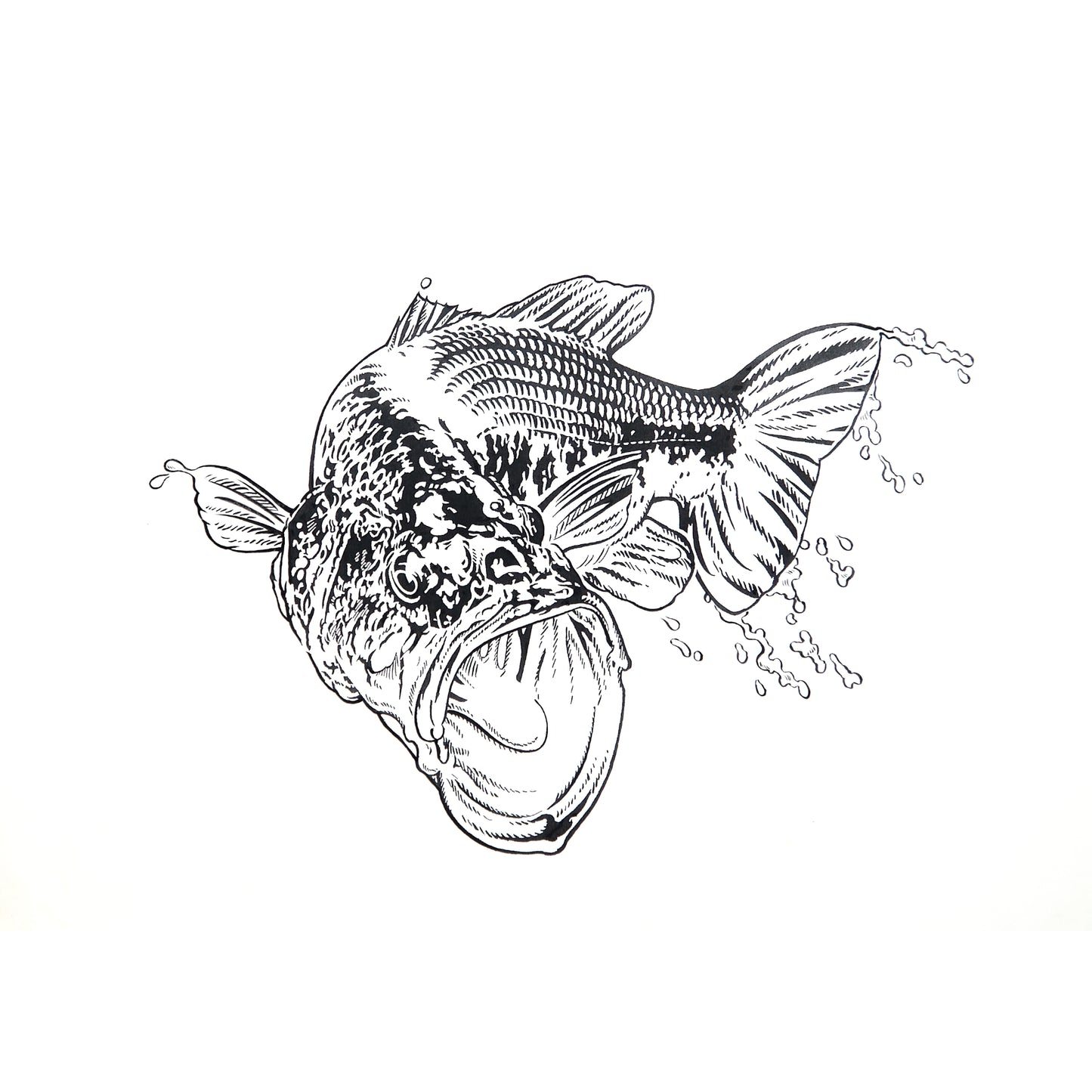 「ブラックバスB」原画