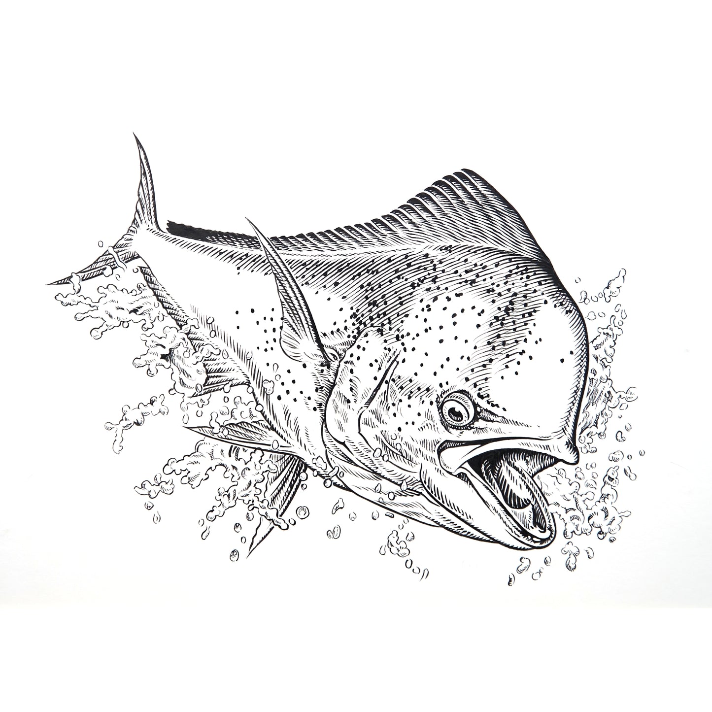 「シイラ」原画