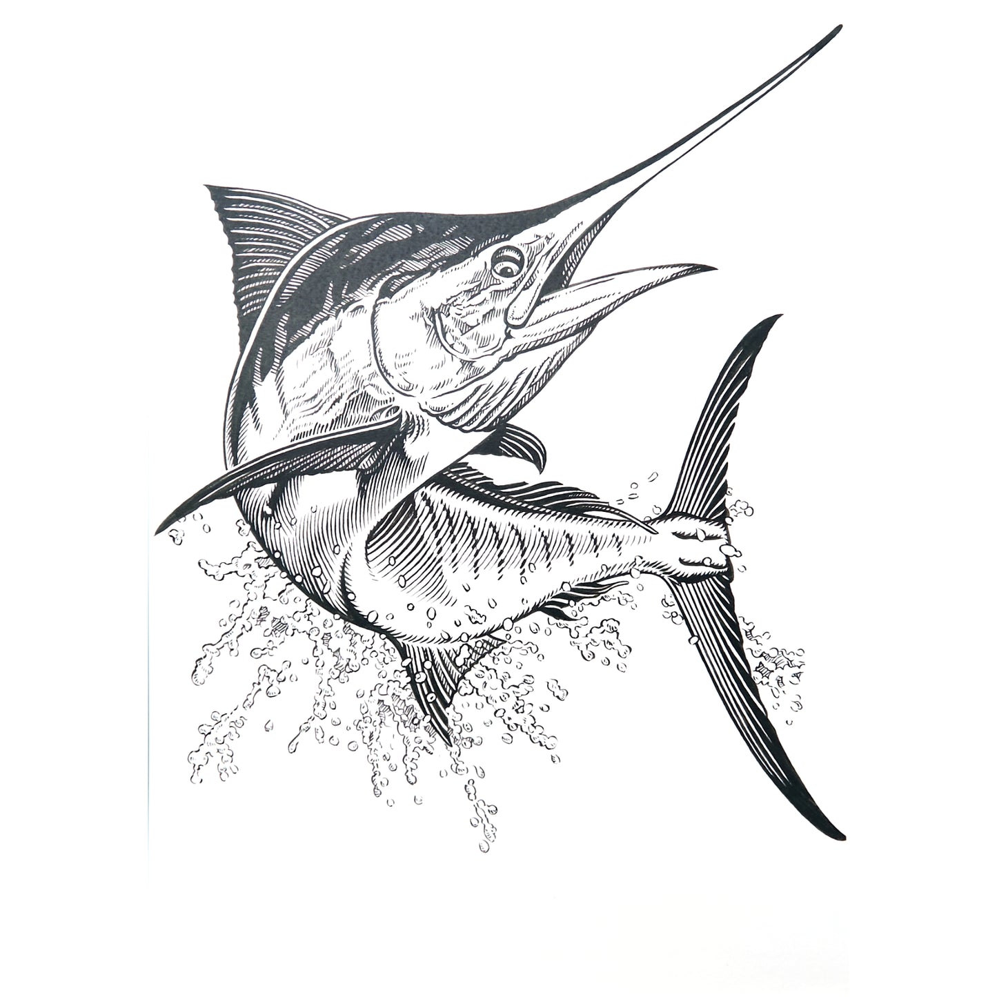 「カジキ」原画