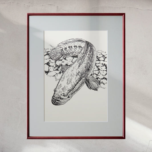 「ライギョ」原画