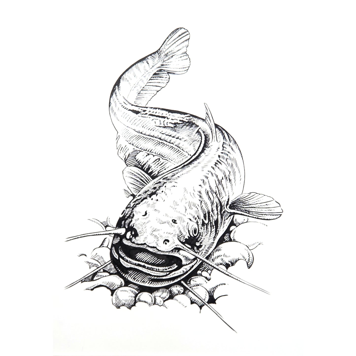 「大ナマズ」原画