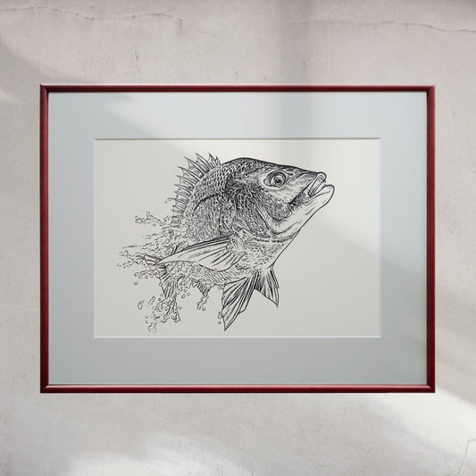 「クロダイ」原画