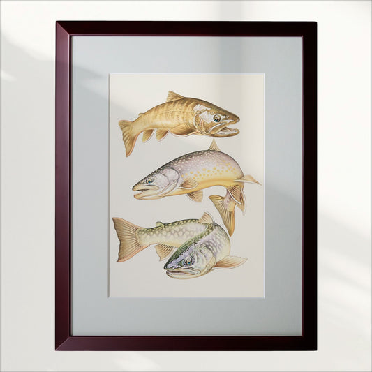 日本の川「三匹の岩魚」原画