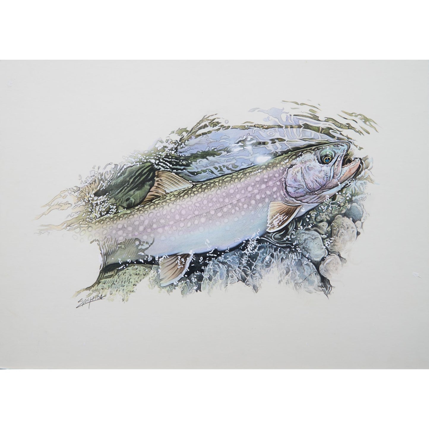 山上湖「銀山湖のイワナ」原画