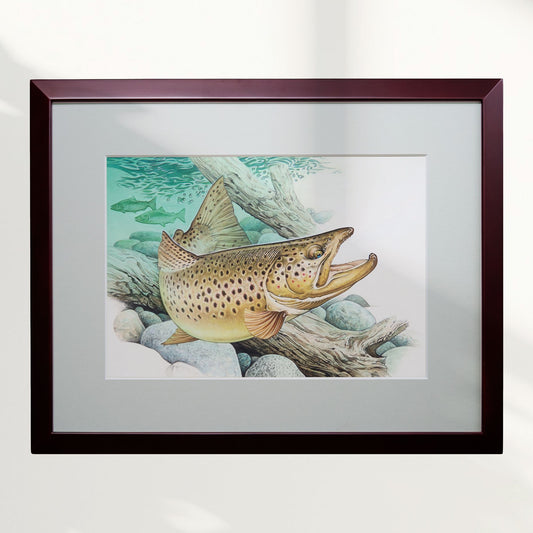 中禅寺湖「ブラウントラウト」原画