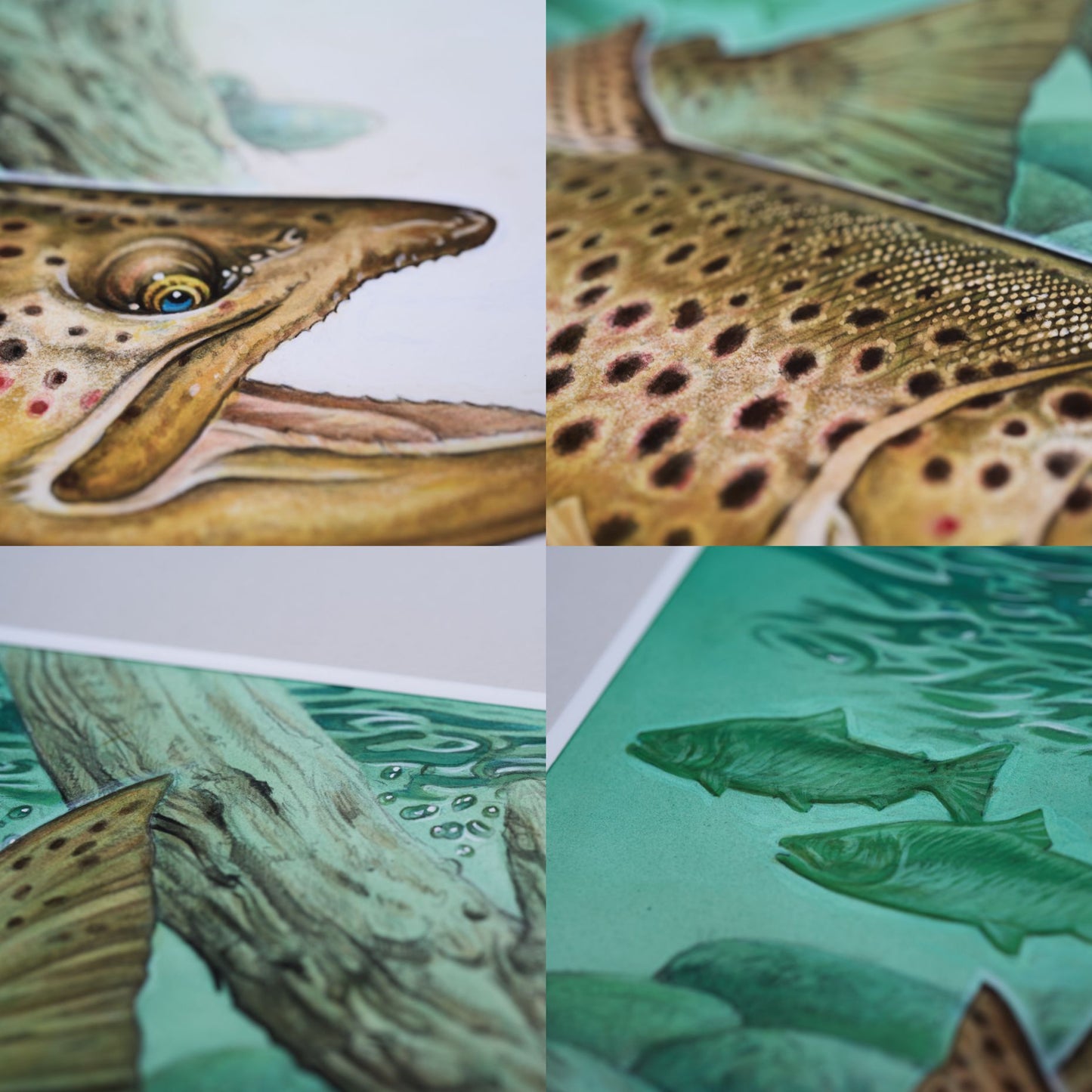 中禅寺湖「ブラウントラウト」原画