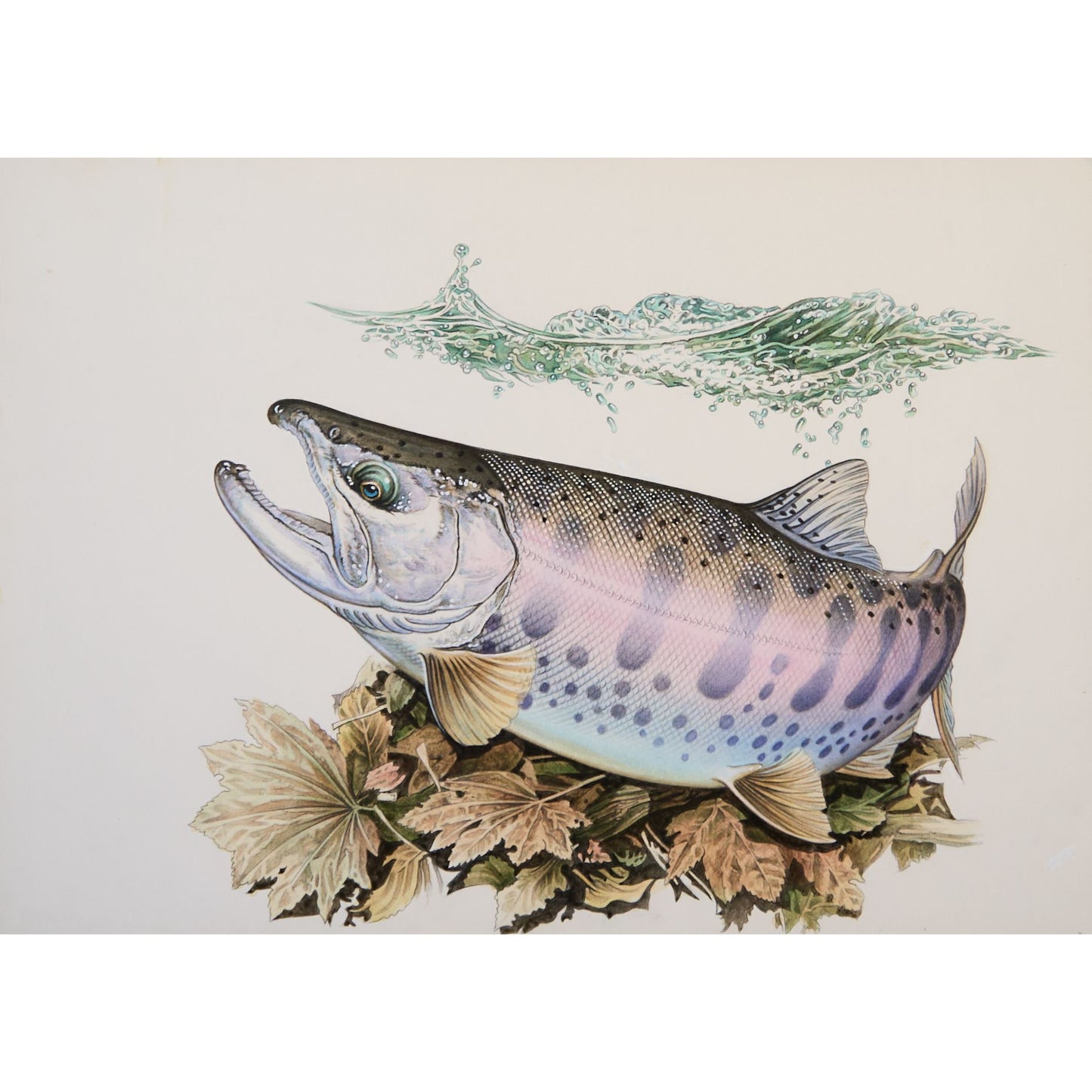 北陸の川「ヤマメと落葉」原画