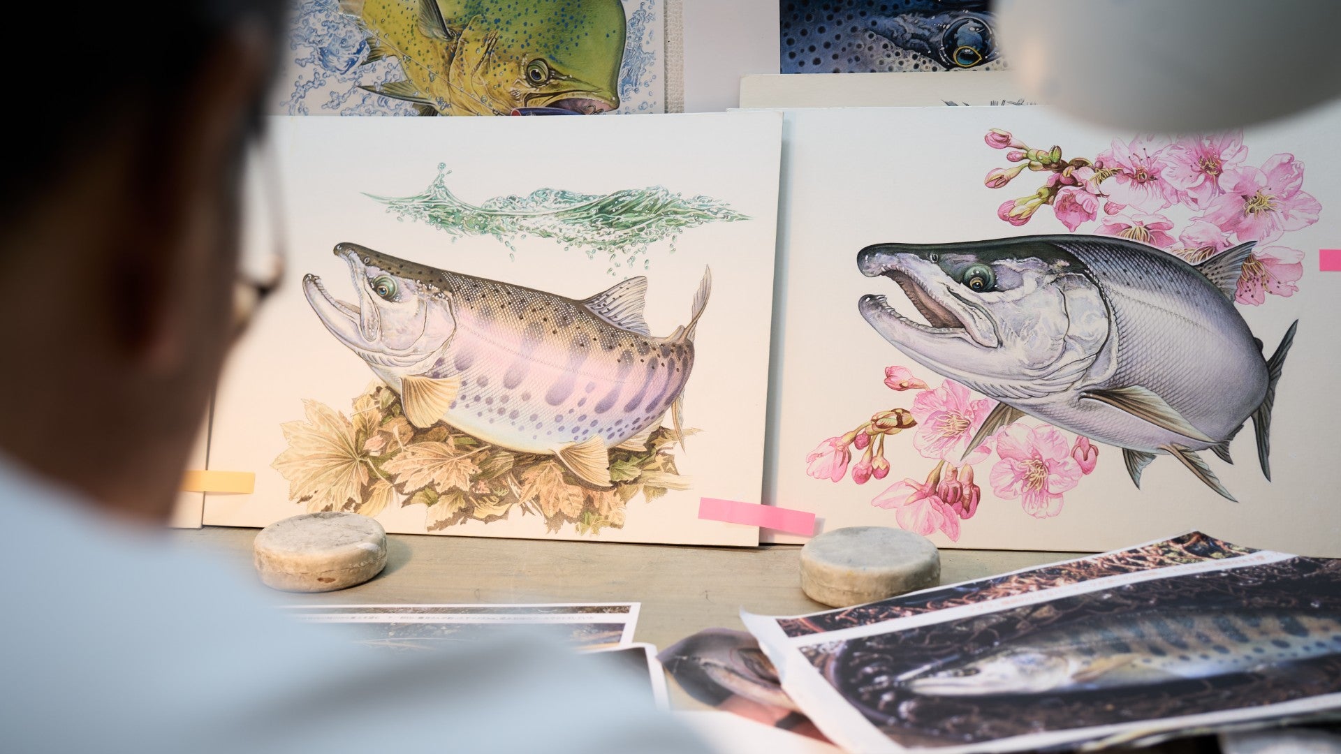 魚絵師 内田進 超細密 魚イラストレーション Susumu Uchida