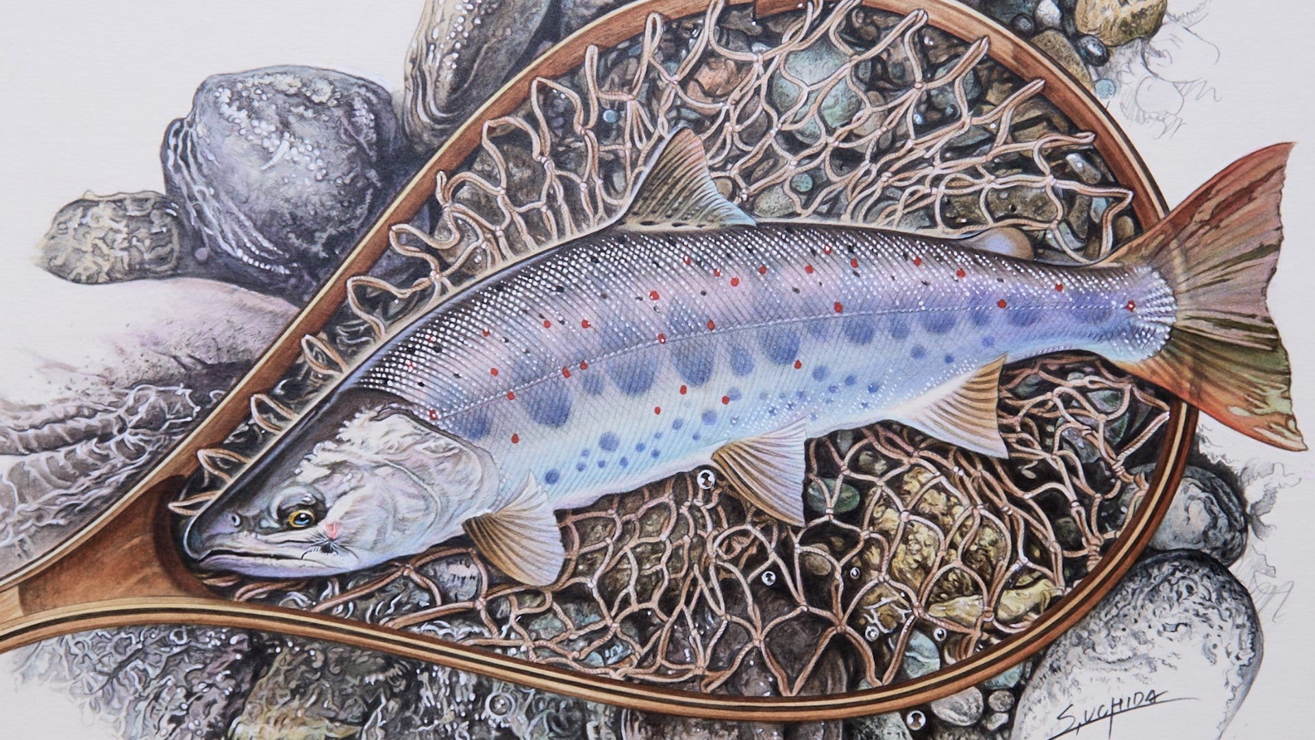 大幅値下げ！！仕事中に描いた絵 魚絵師 内田進 超細密 魚イラストレーション Susumu Uchida