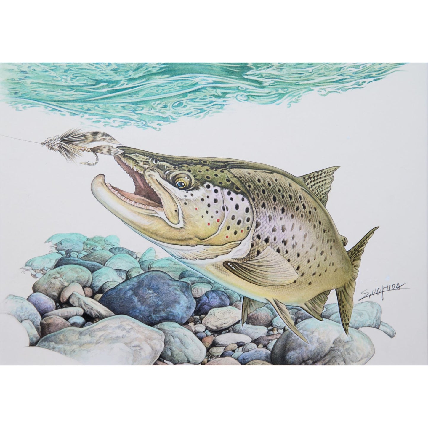 Original drawing of "Muddler Minnow" at Lake Ashi