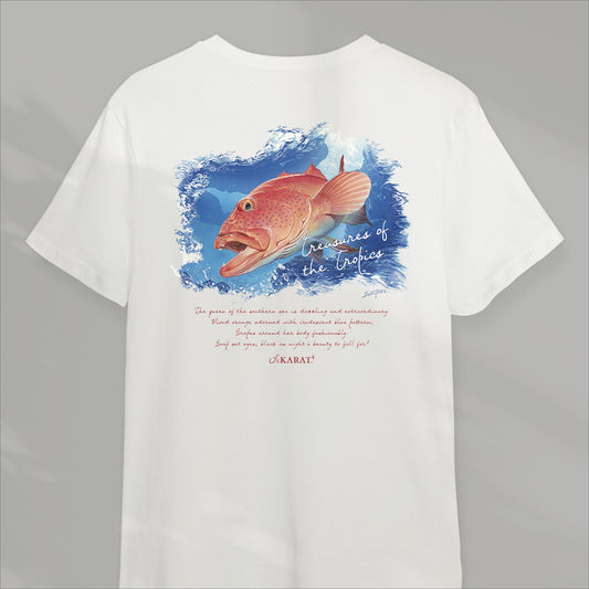 Short-sleeved dry T-shirt Akajin