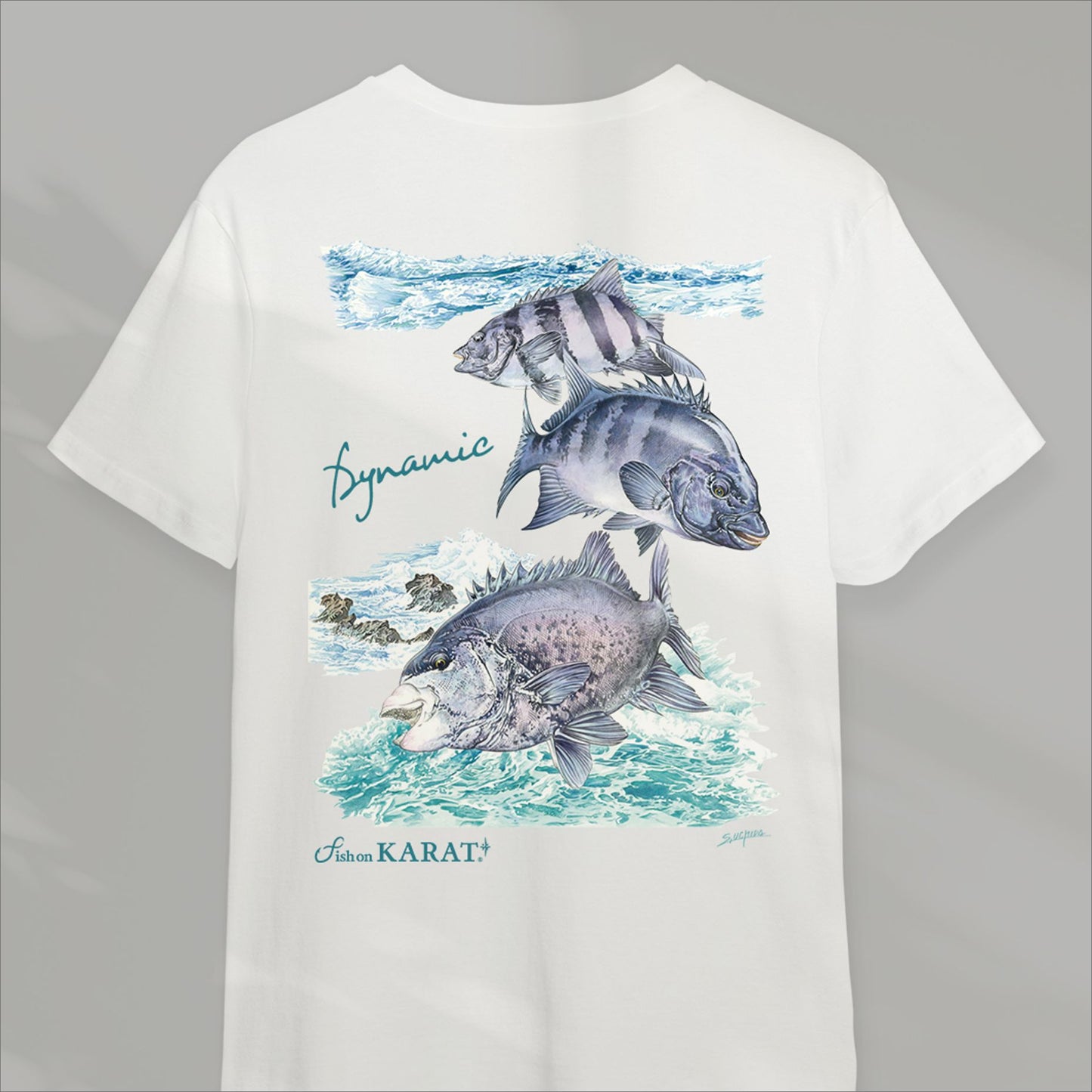 Short-sleeved dry T-shirt Ishidai