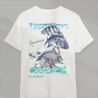 Short-sleeved dry T-shirt Ishidai