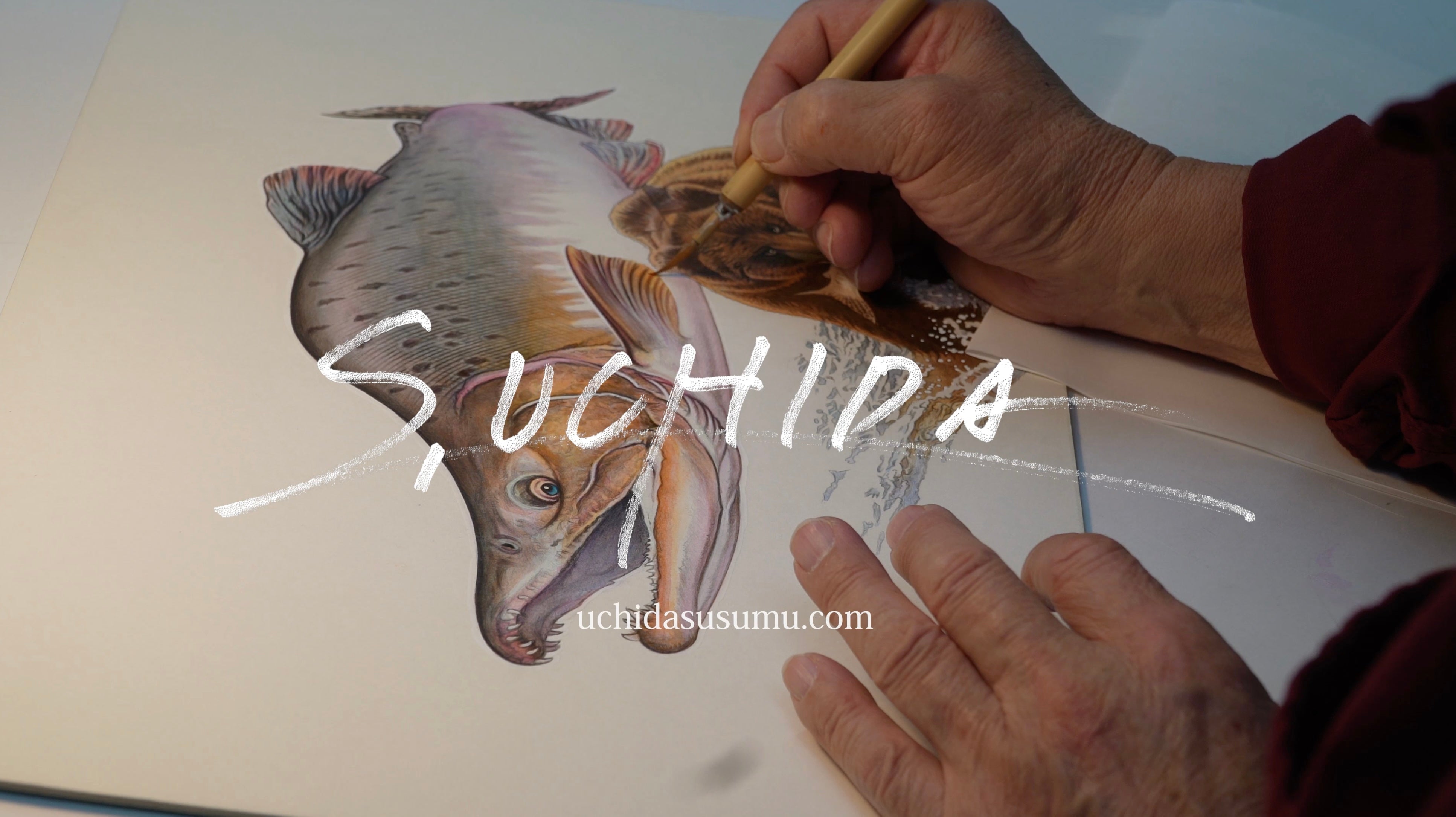魚絵師 内田進 超細密 魚イラストレーション Susumu Uchida